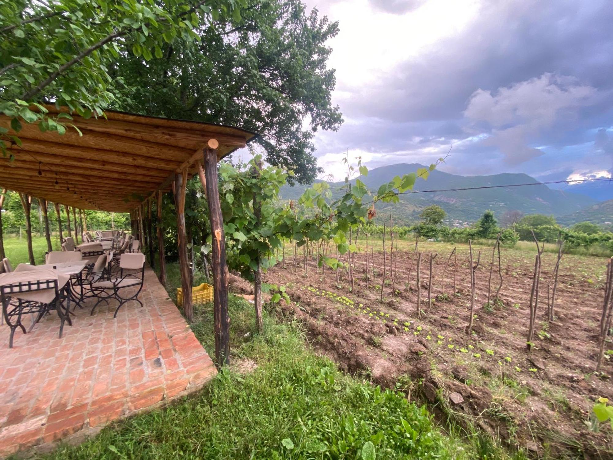 Vila Disha Тирана Экстерьер фото