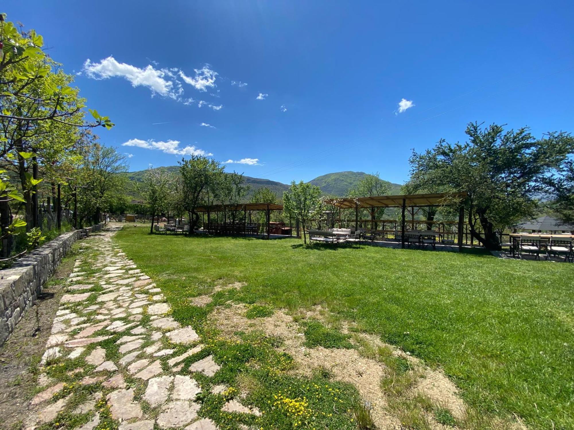 Vila Disha Тирана Экстерьер фото