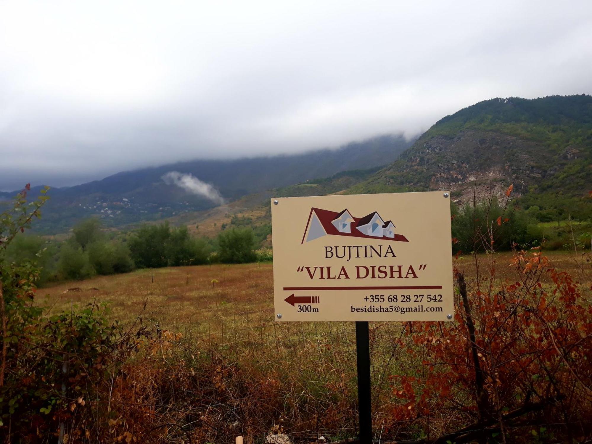 Vila Disha Тирана Номер фото