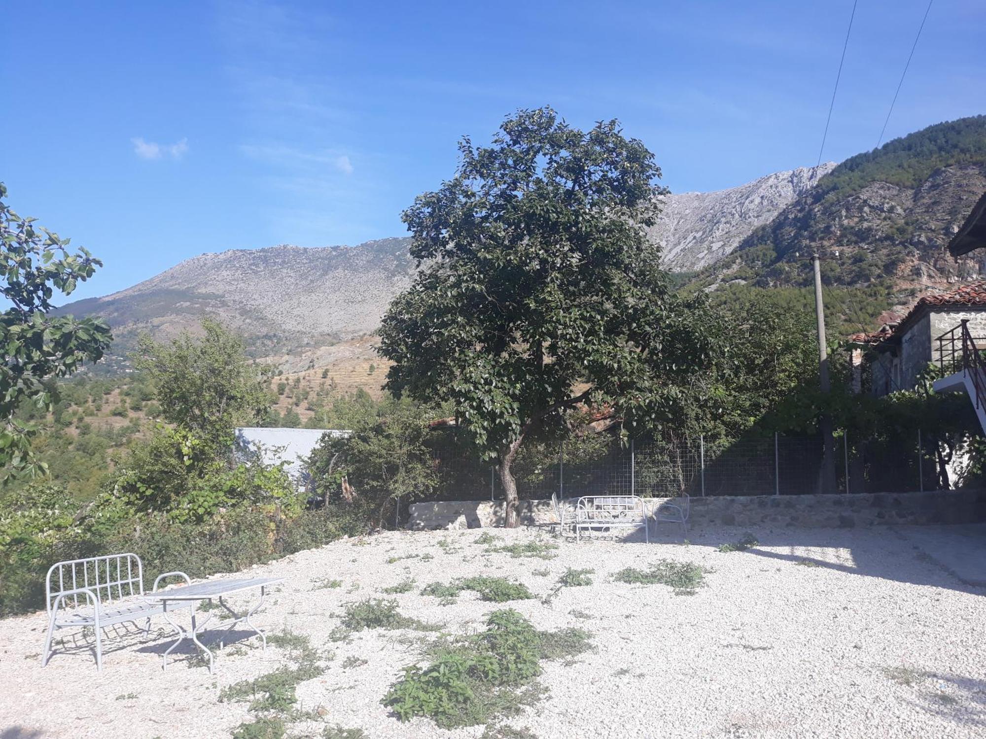 Vila Disha Тирана Номер фото