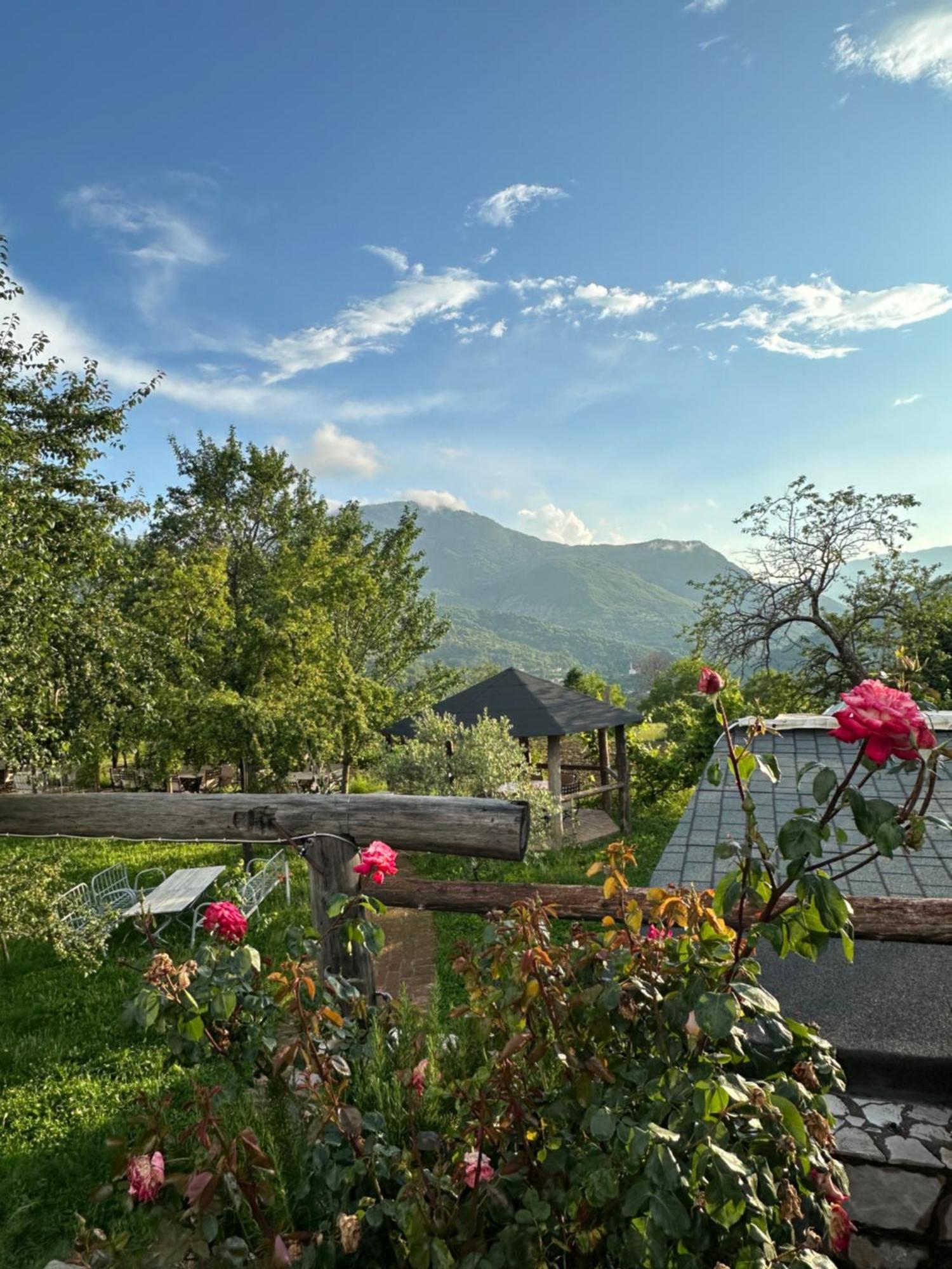 Vila Disha Тирана Экстерьер фото