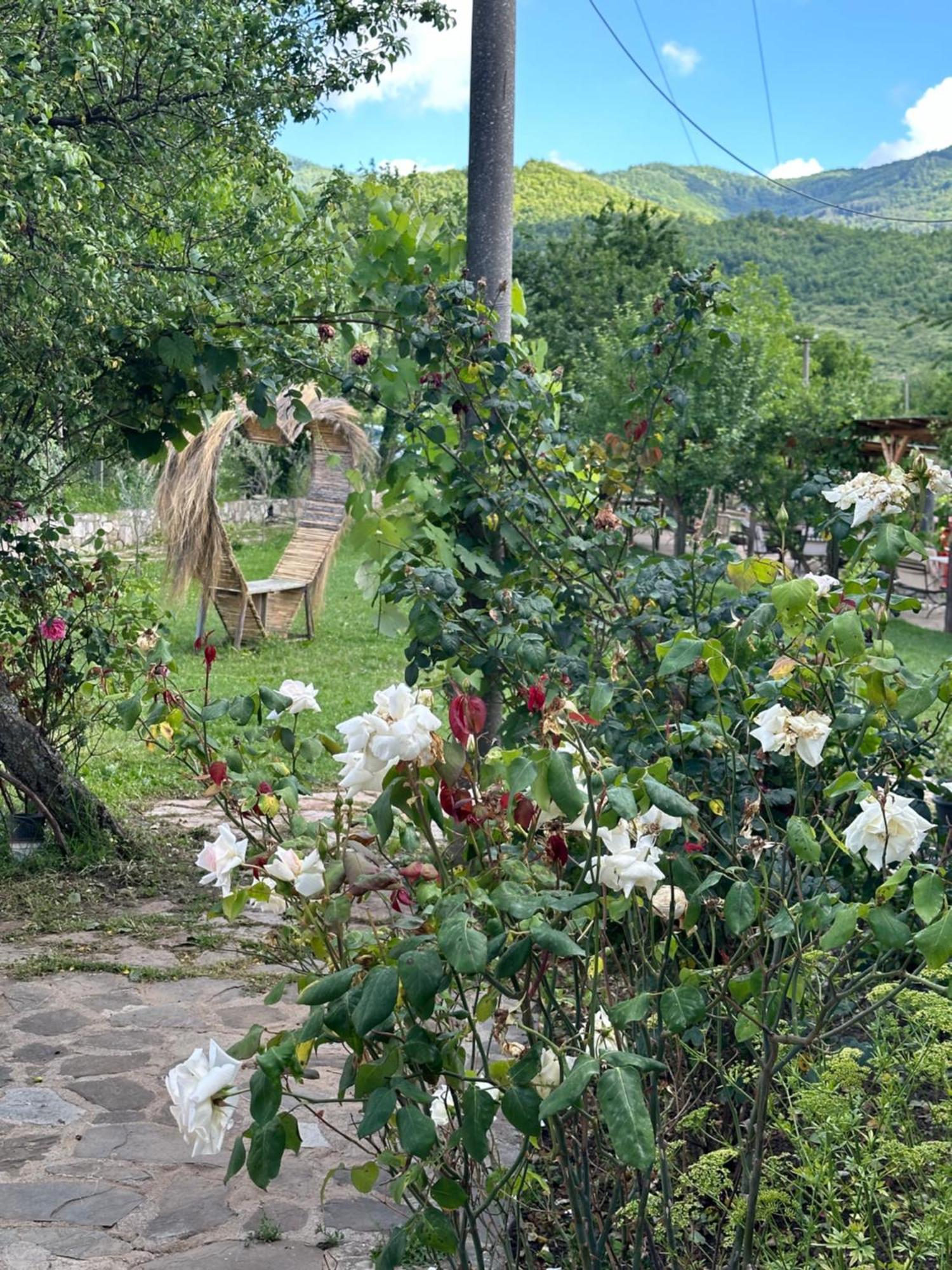Vila Disha Тирана Экстерьер фото